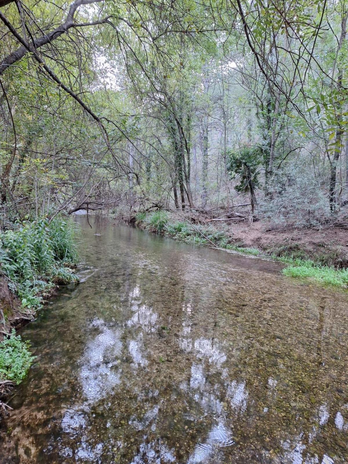 El Quejigo Villa Molinicos Kültér fotó